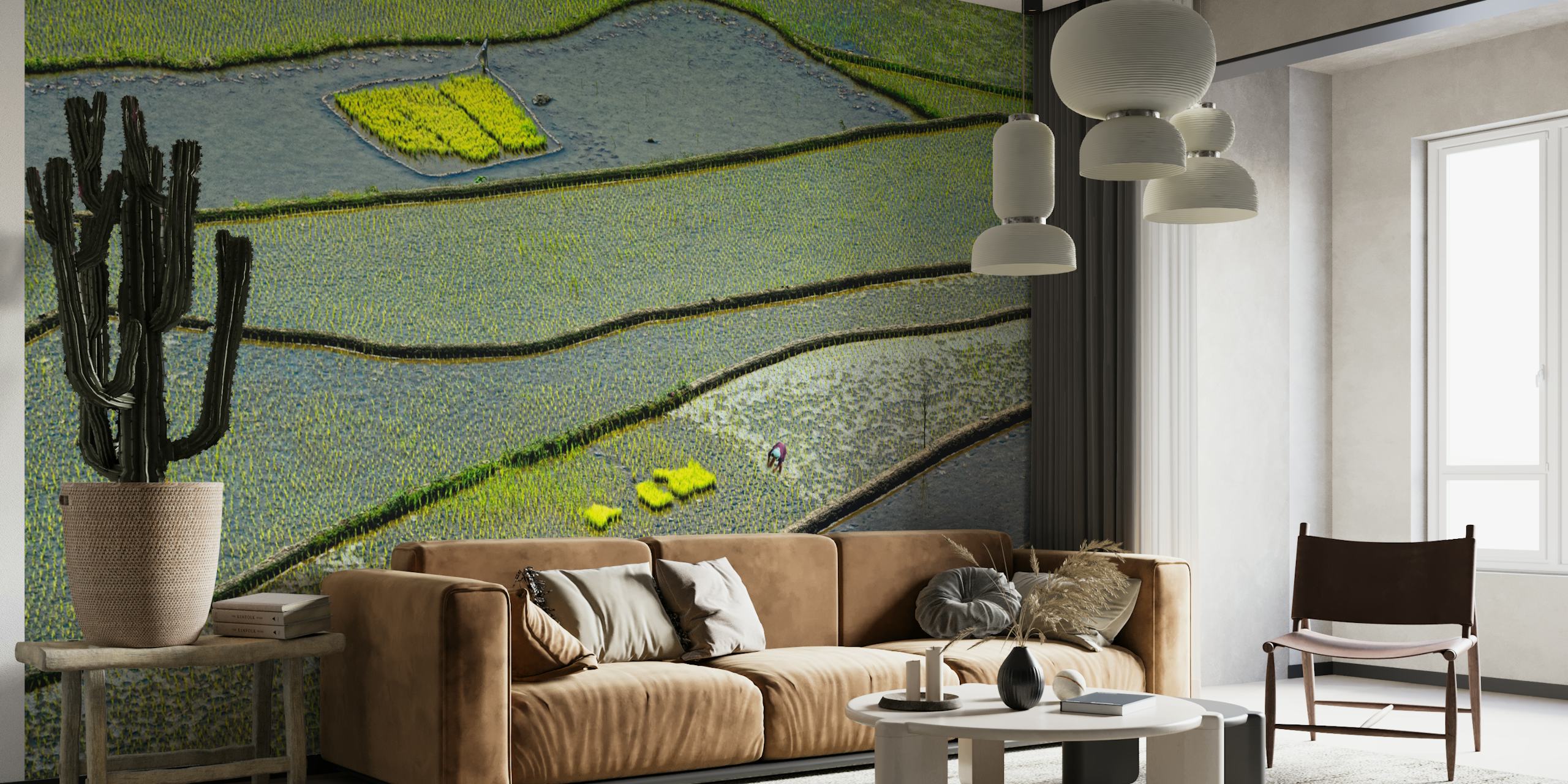 Vibrant rice fields wallpaper in a room