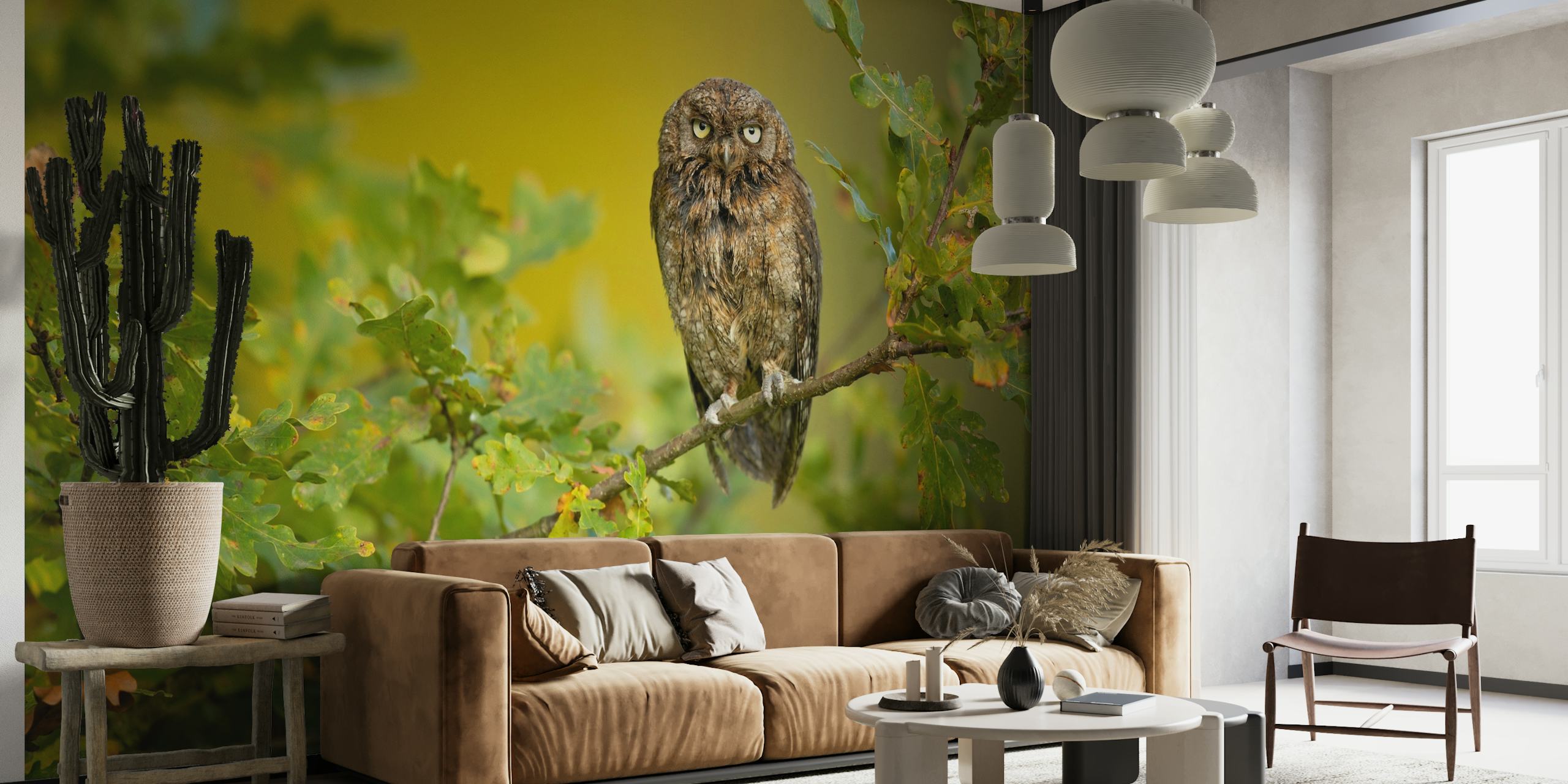 Eurasian Scops Owl papel de parede