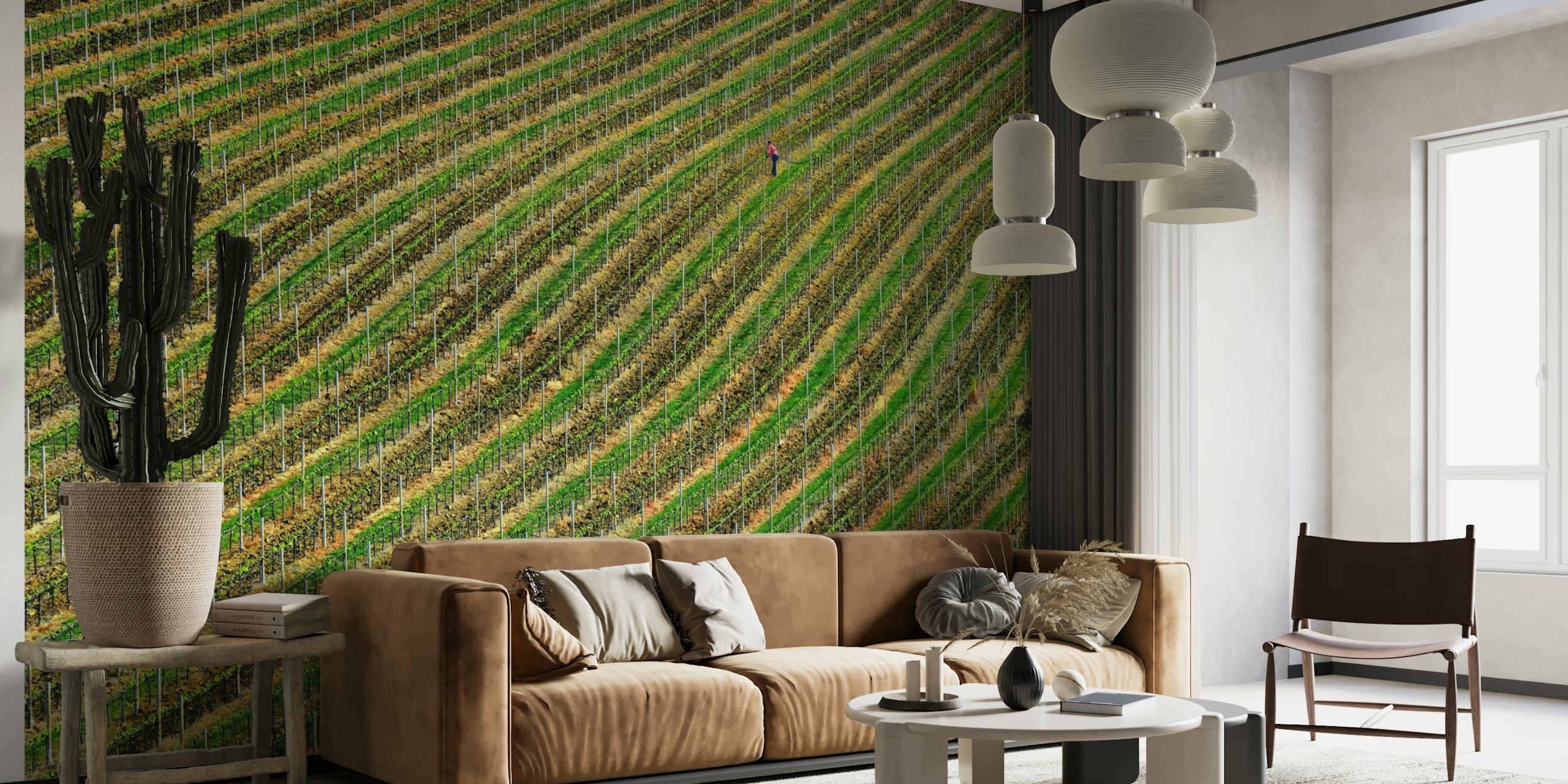 Vineyard wallpaper