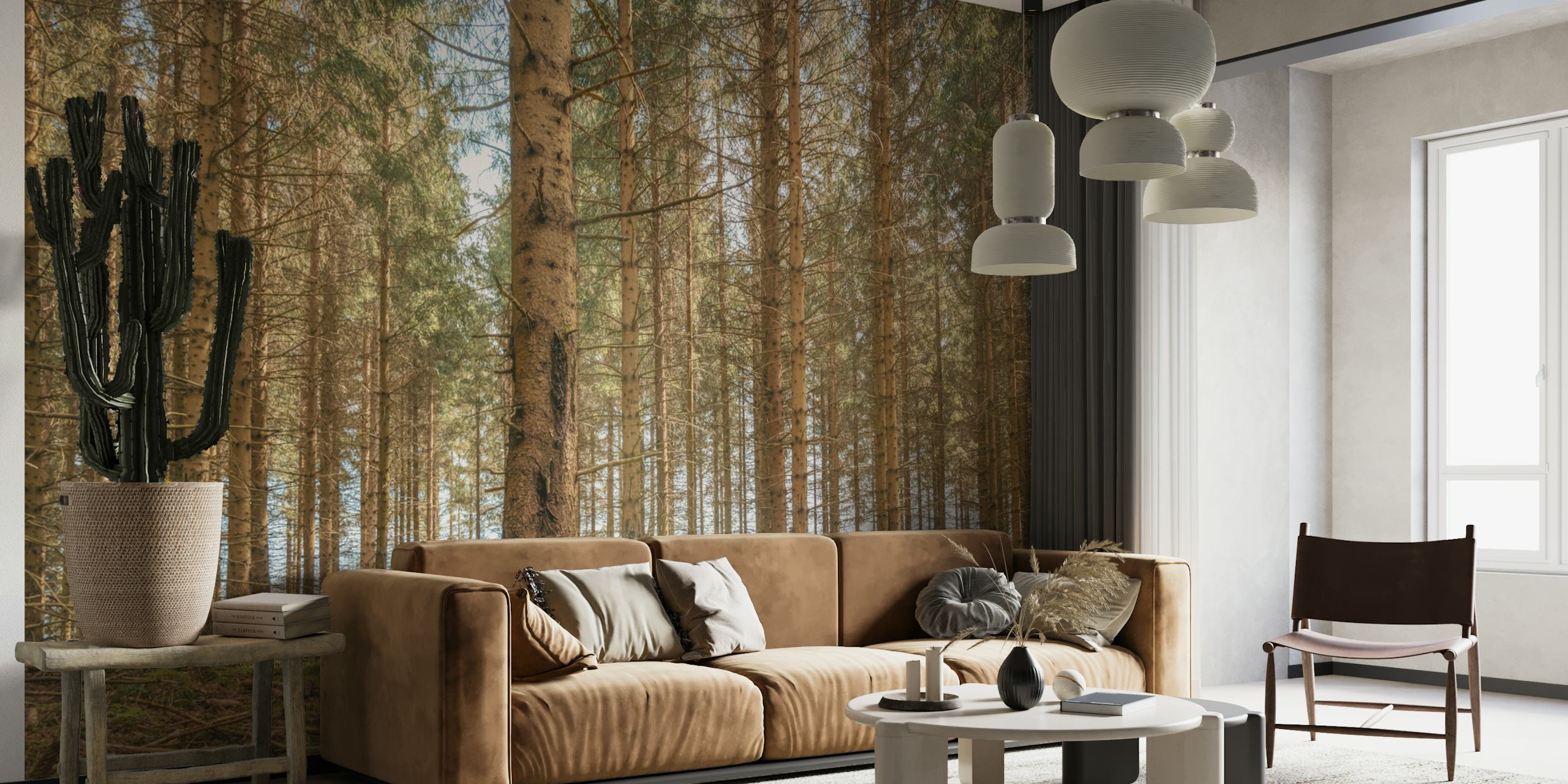 Enchanted spring pine forest wallpaper in a room