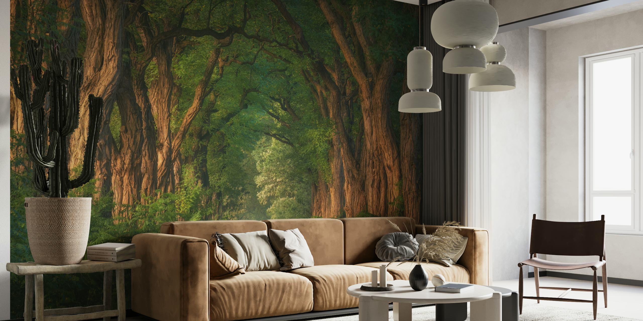 Soft morning light through acacia trees wallpaper