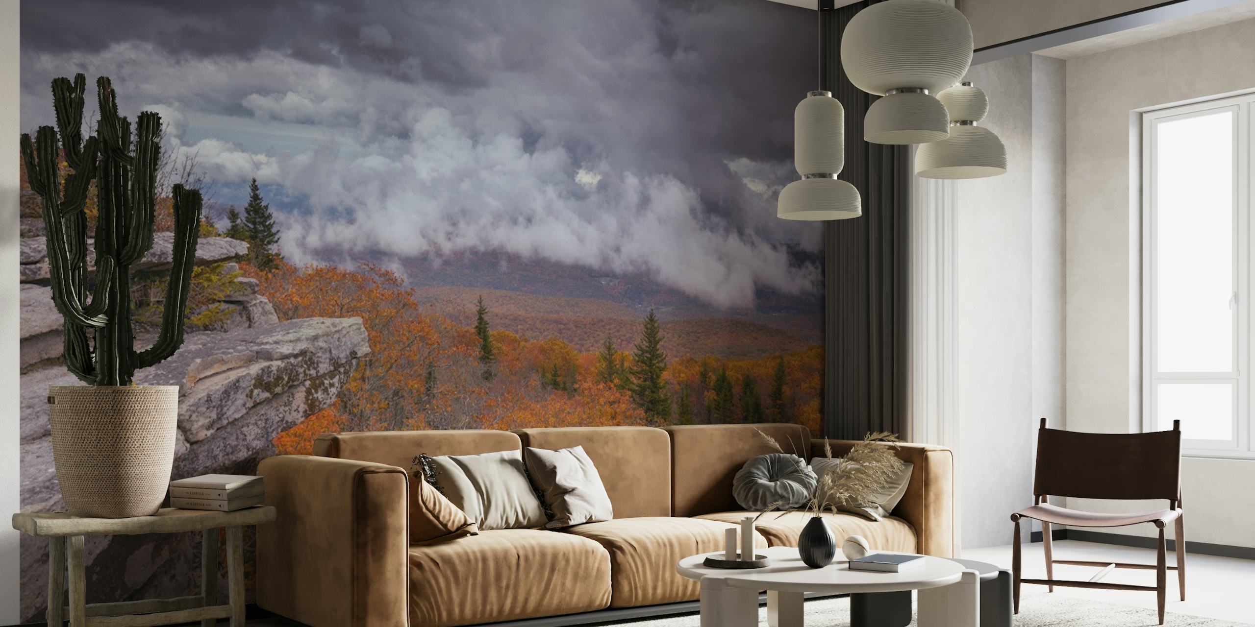 Storm Over Dolly Sods Wilderness wallpaper in room