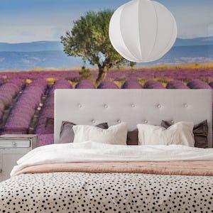 Lavender Haute Provence