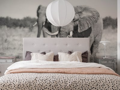 Twin Elephants