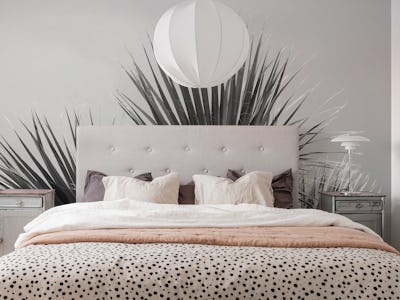 Fan Palm Black White Vibes 1
