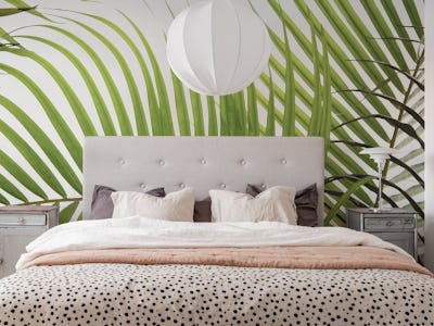 Palm Foliage II