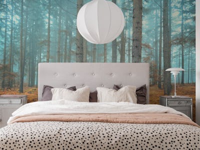 Dreamy forest