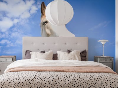 Happy Horse Head in Blue Sky