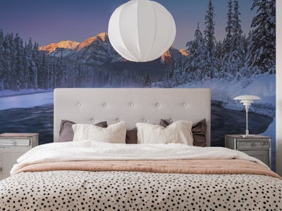 Winter Canadian Rockies