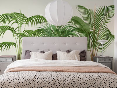 Palm Tree Leaves on Tan