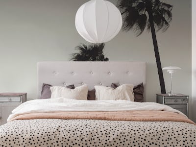 Palm_004