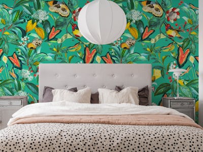 World of Birds X