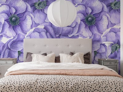 Violet anemone flowers