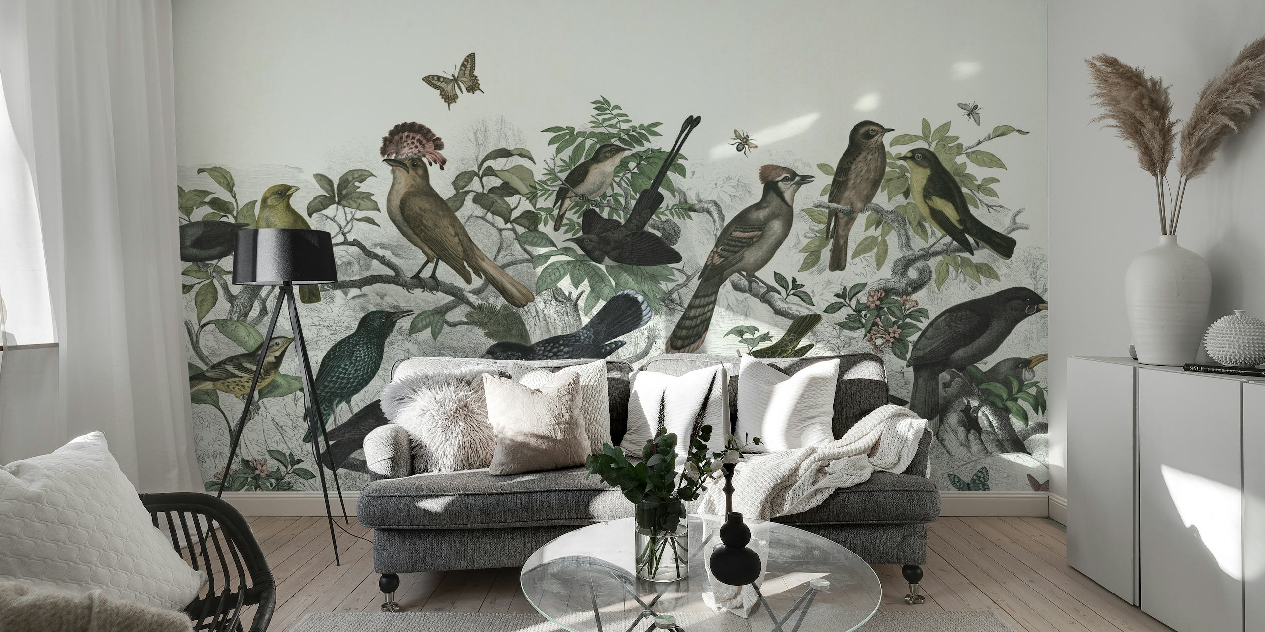 Forest birds colour wallpaper