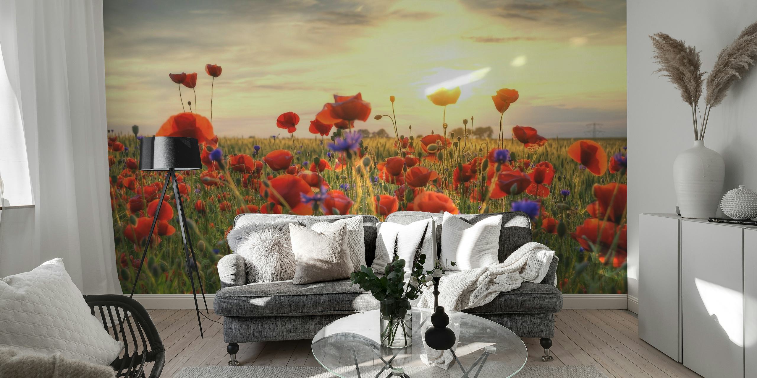 Poppiesfield wall mural with vibrant red poppies and a sunset