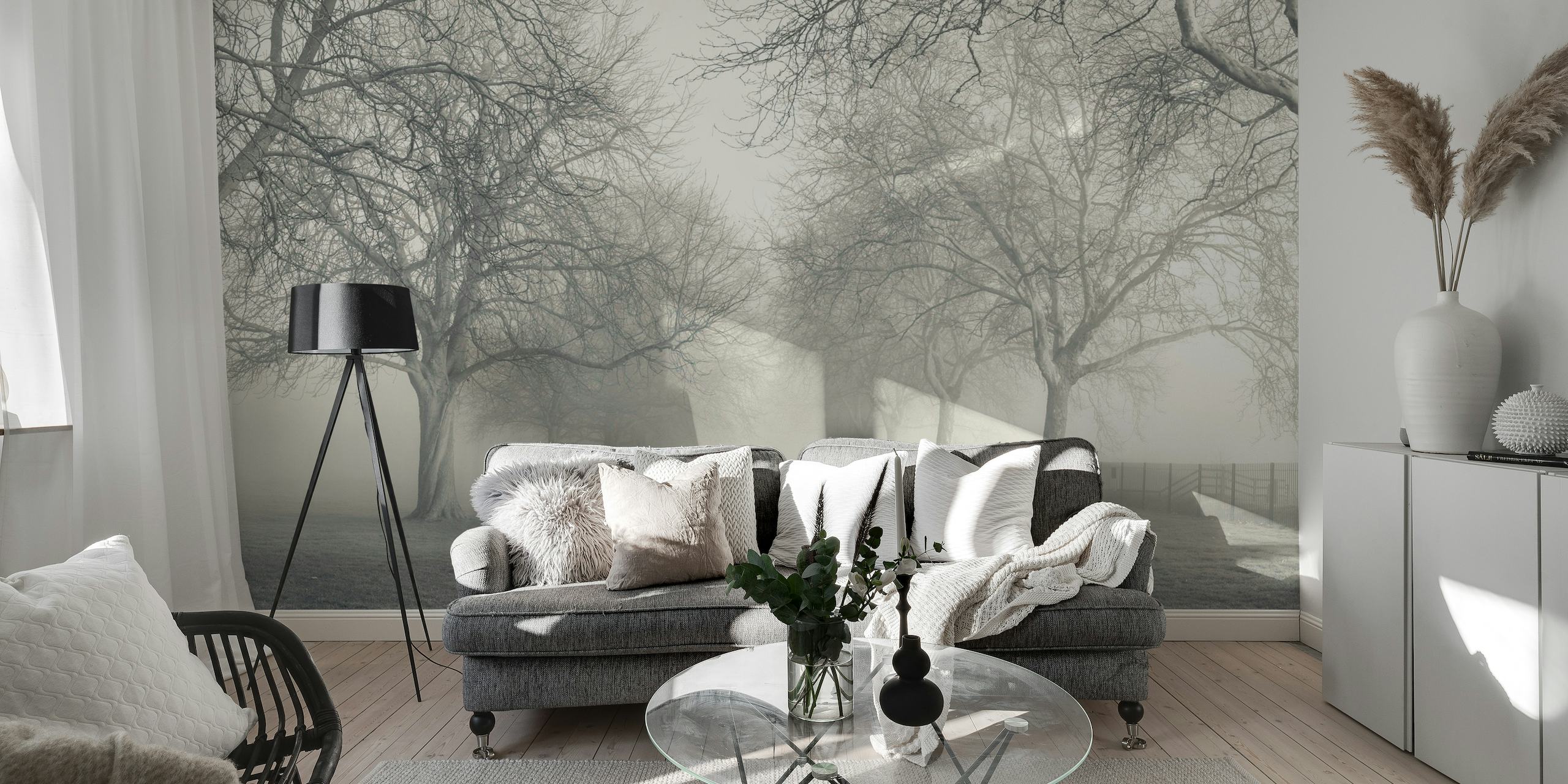 A misty forest pathway wall mural with silhouetted trees creating a tranquil atmosphere.