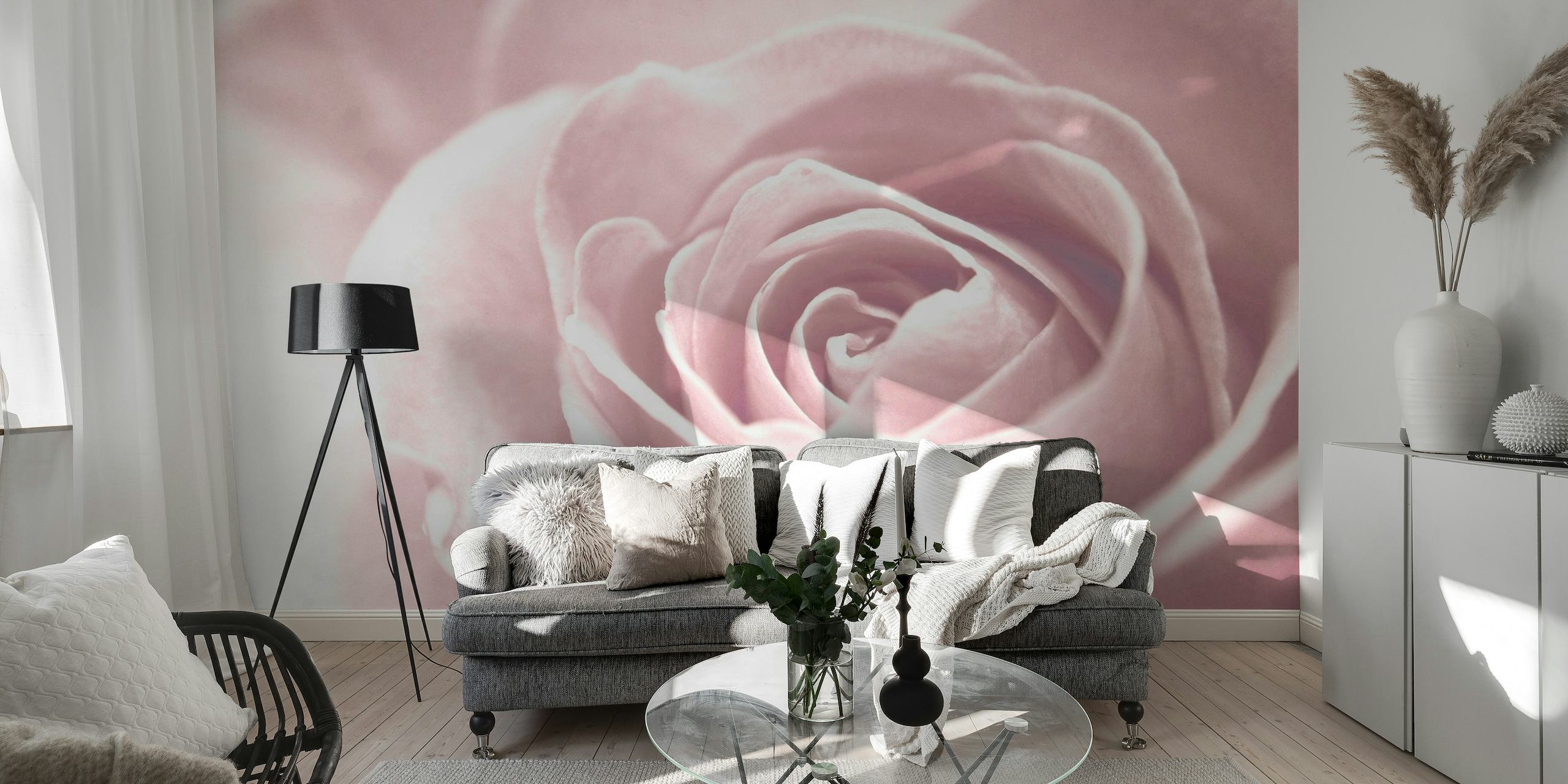 Soft Rose III wallpaper