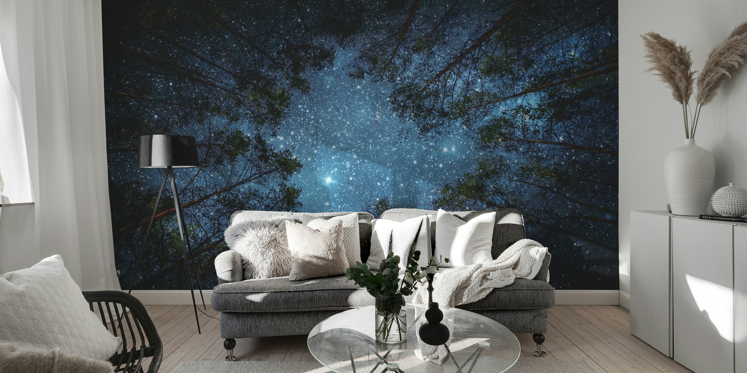 Night Sky Wallpaper Mural featuring star constellations, distant galaxies and twinkling stars