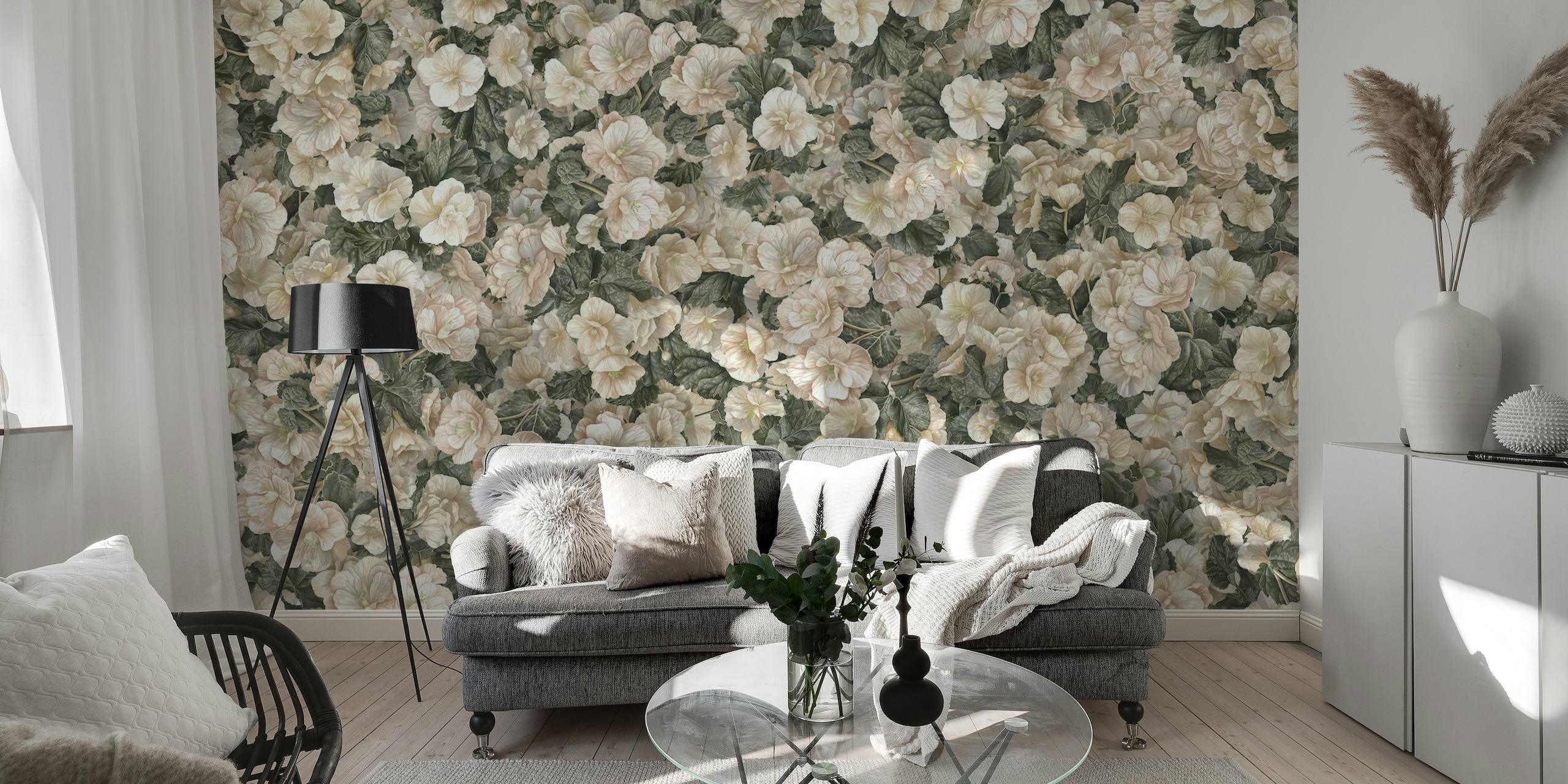 Begonia white flower wallpaper