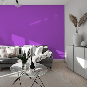 Candy Purple solid color wallpaper