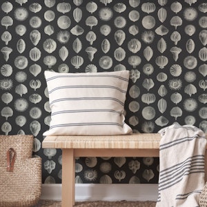 Synthetic Sea Urchin - Slate Grey