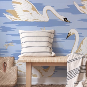 White Swans 1