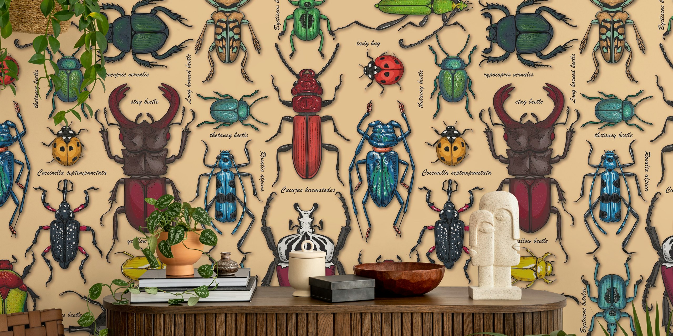 Beetles wallpaper esillä huoneessa
