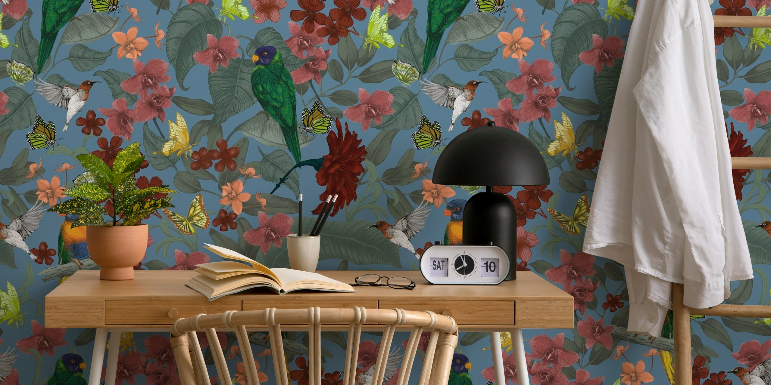 Lush wallpaper z Rainbow Lorrikeet na Steel Blue