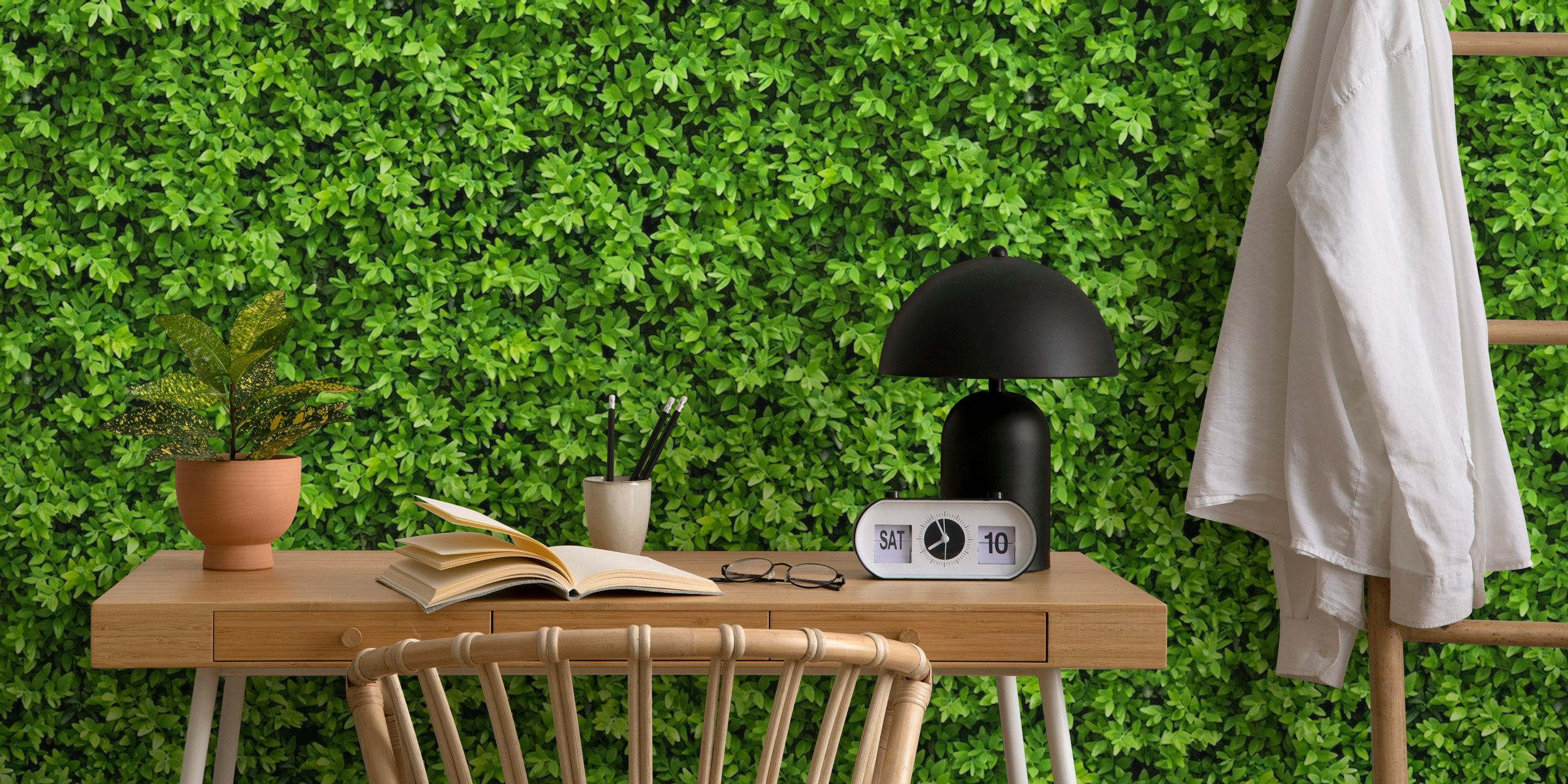 Papel pintado Green bush en una habitación