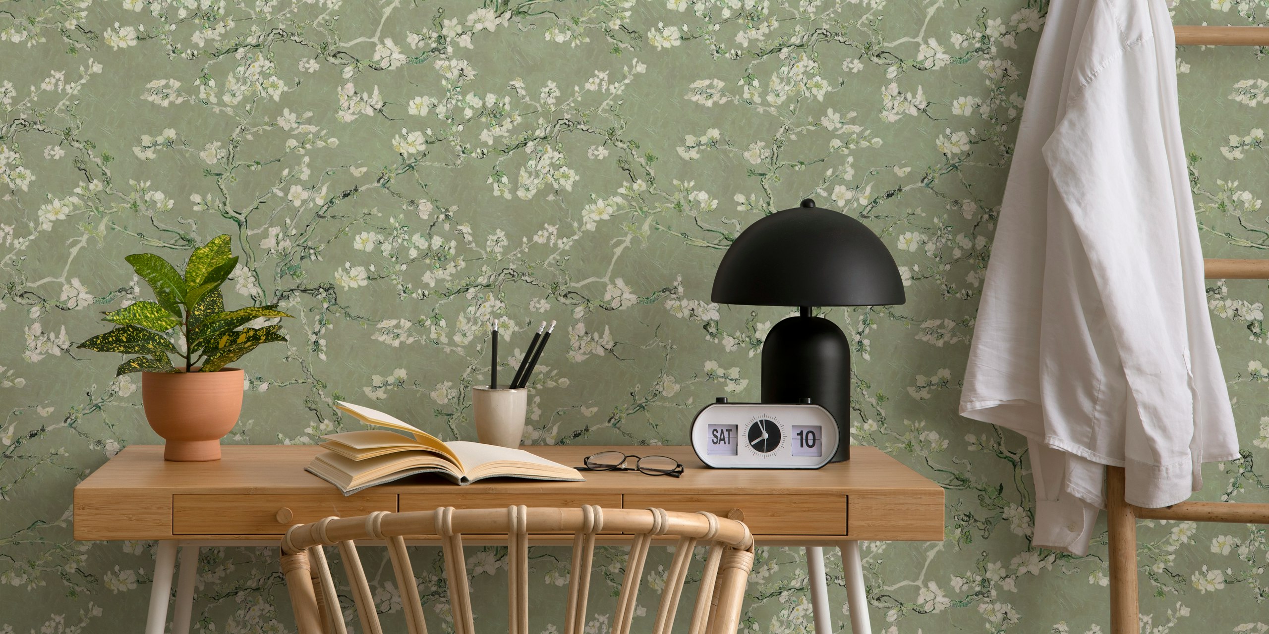 White almond blossoms on sage green background wallpaper