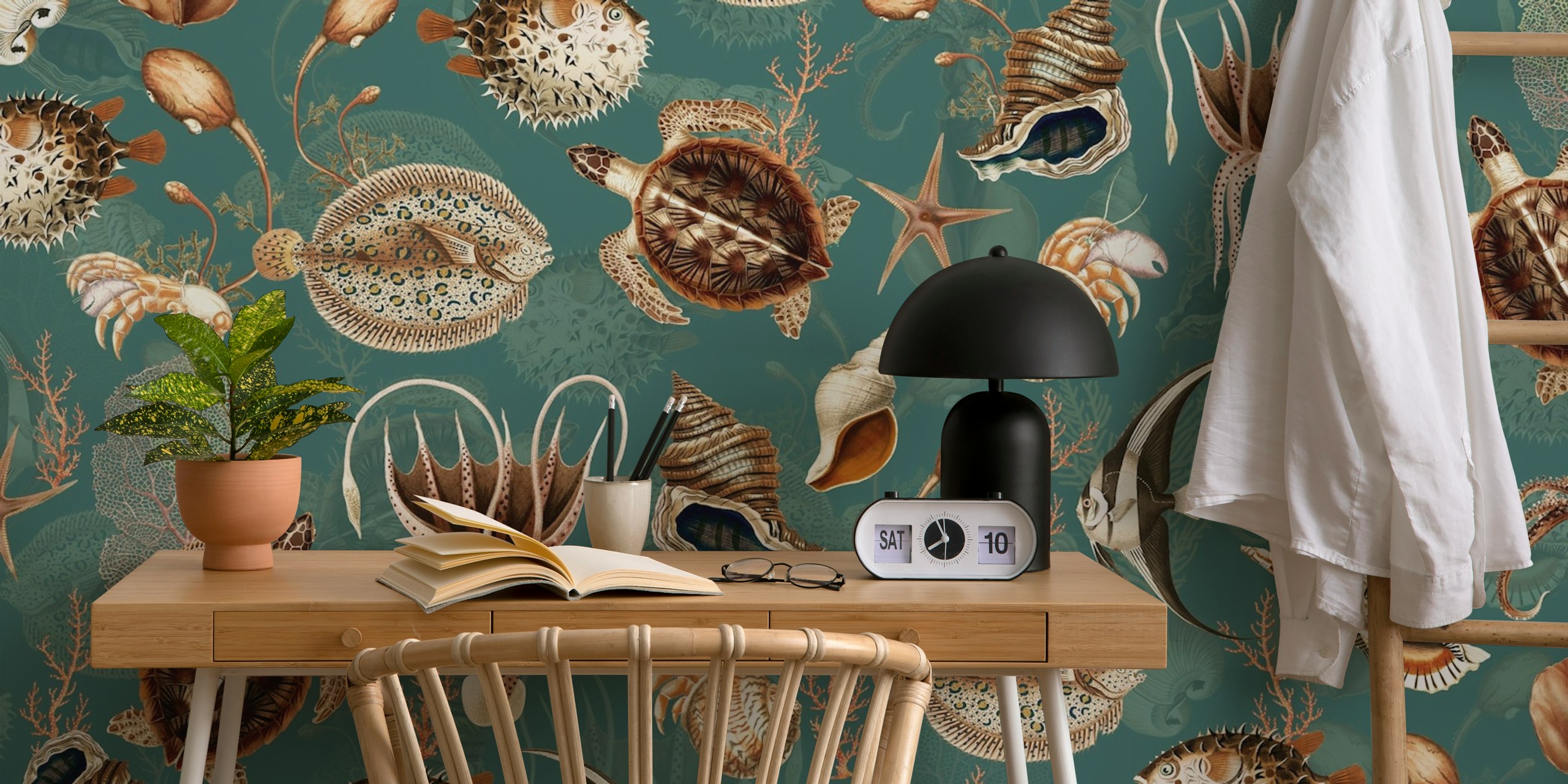 Marine life and seashells on turquoise background wallpaper