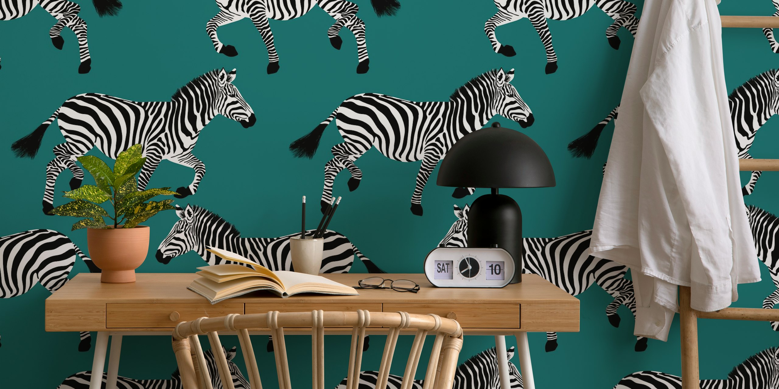 Black and white zebras on teal background wallpaper