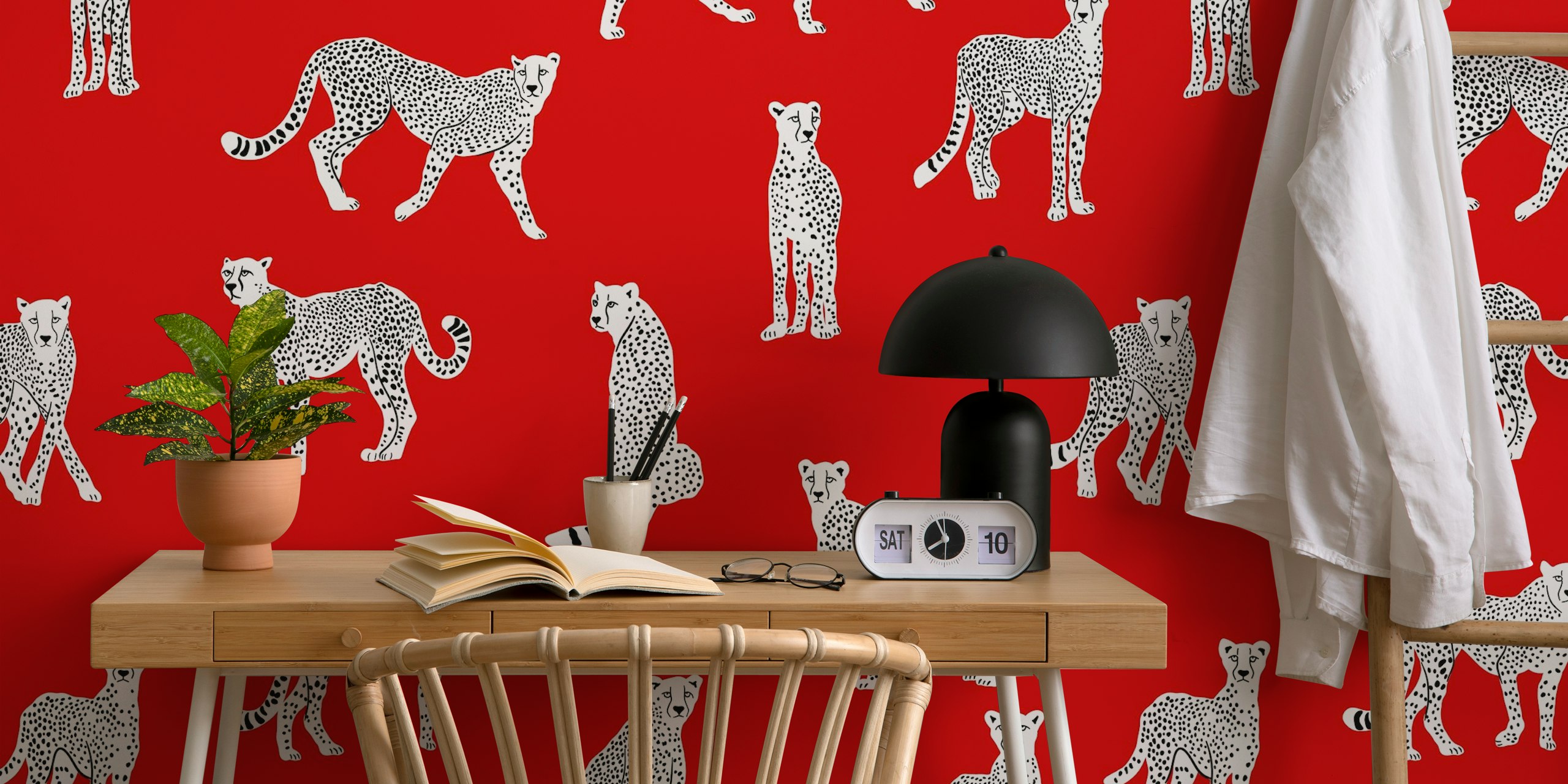 White Cheetah σε ομοιόμορφο κόκκινο φόντο