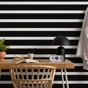Black And White Stripe Pattern Horizontal