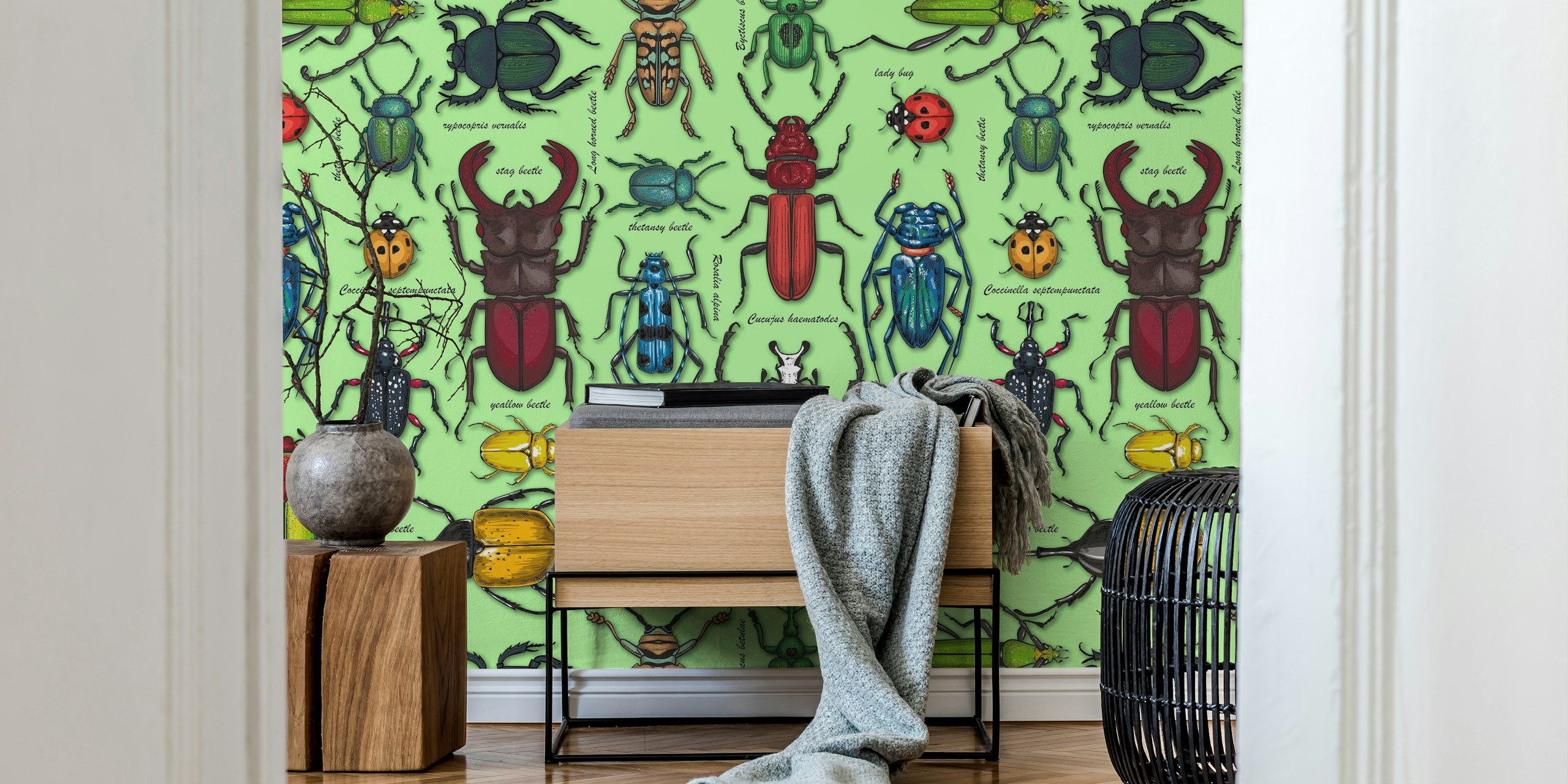Beetles on light green wallpaper in a room