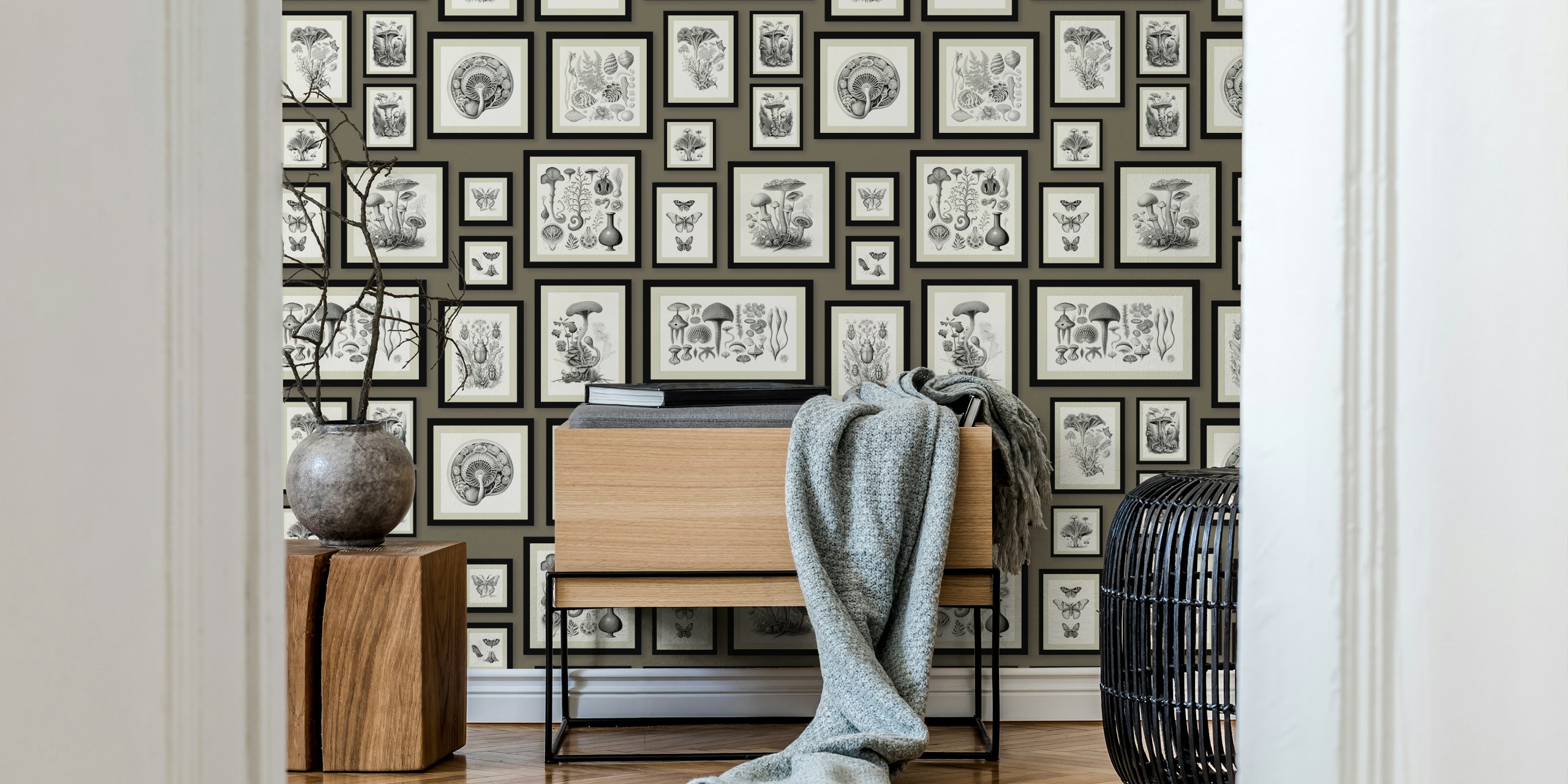 Murale con illustrazioni di funghi incorniciate vintage in tavolozza di colori tortora