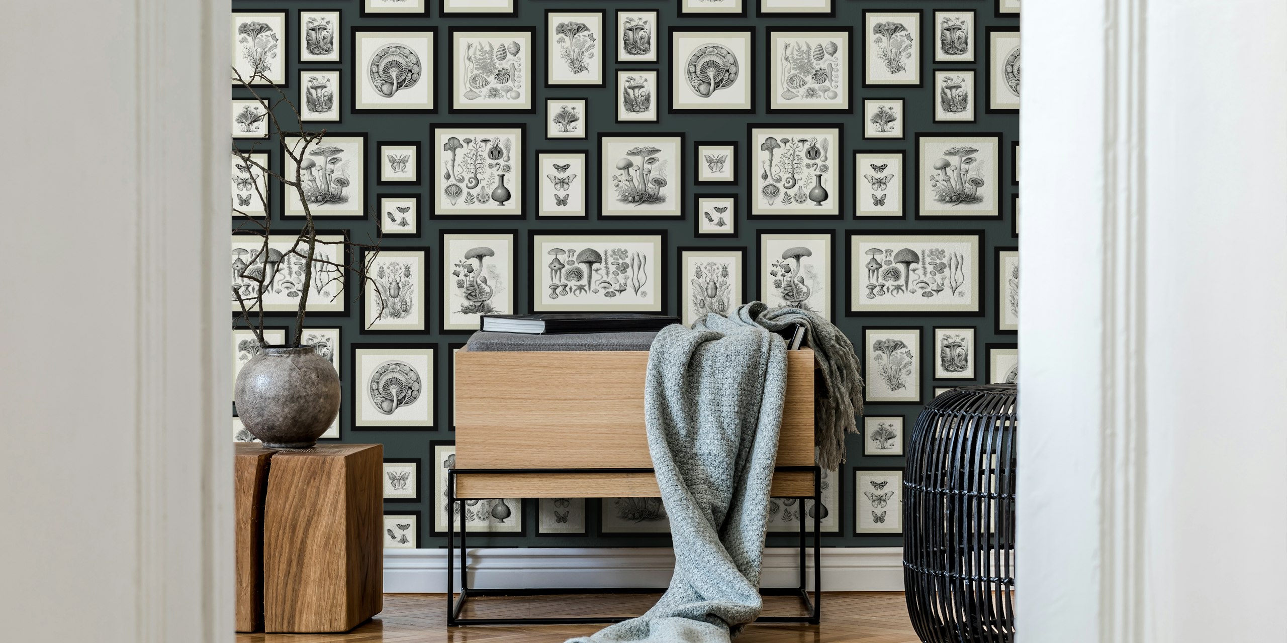 Vintage Framed Mushrooms - Anthracite huoneessa