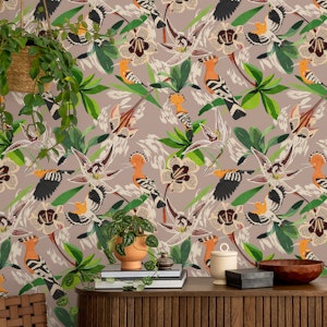 Tropical Birds Haven