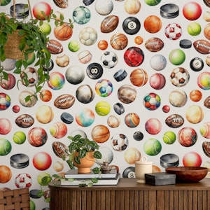 All Sport Balls 1