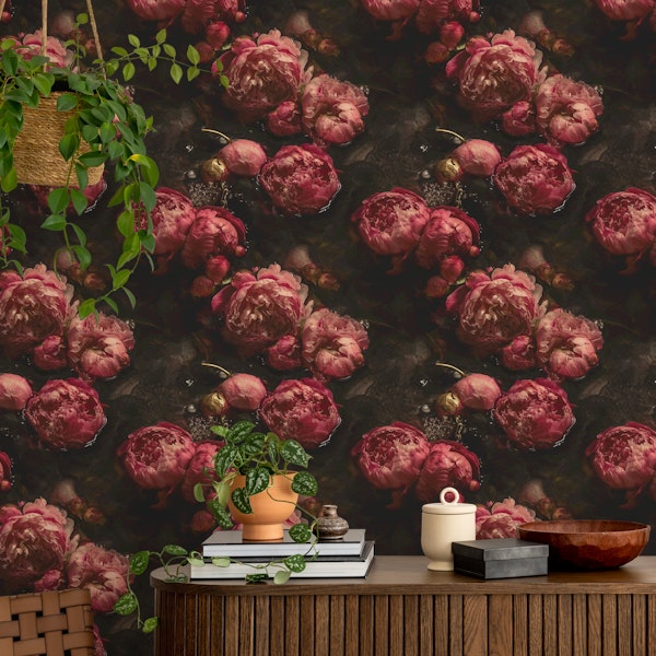 Peony Blooms in Twilight