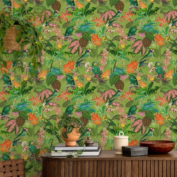 Colorful Tropical Birds Rainforest