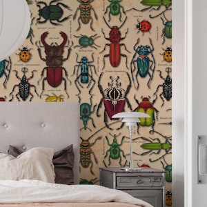Beetles on old paper