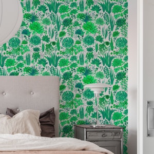 Succulents and cacti in green
