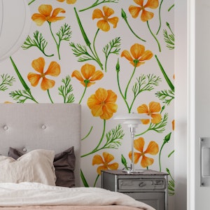 California poppies on off white