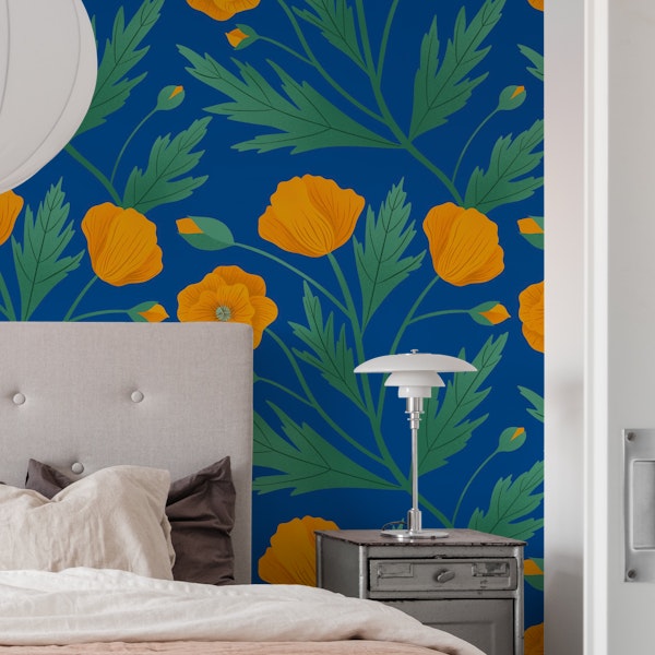 California Poppies on Blue