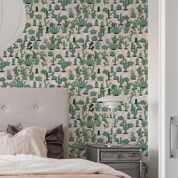 Succulents - green and white on buff pink