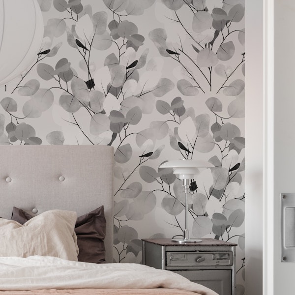 Silvery Silver Dollar Eucalyptus