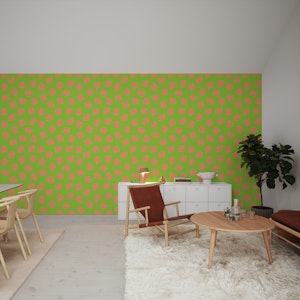 Seashells Coast Scallop Shells Marine Lime