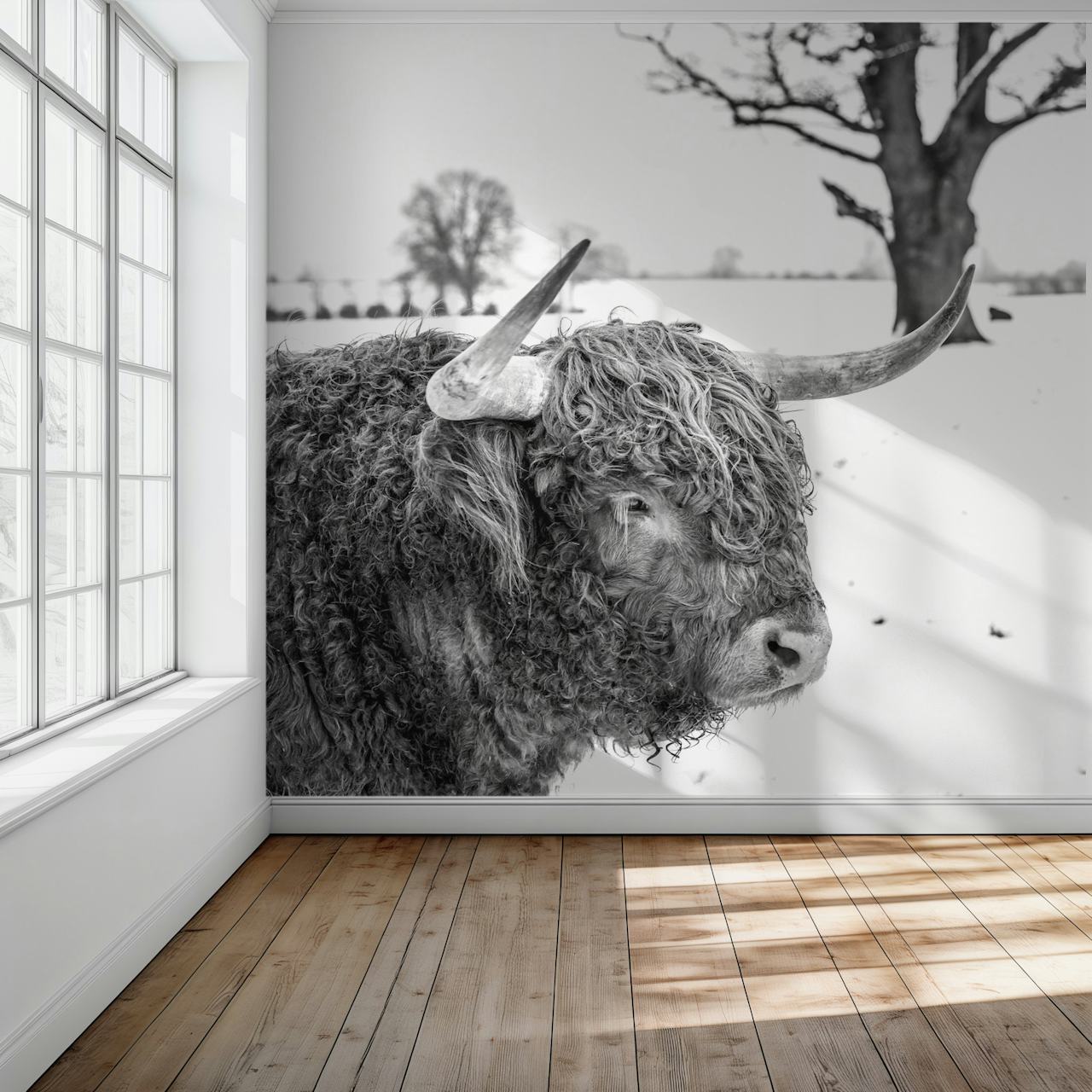 Iconic Highland Cow wallpaper in a room