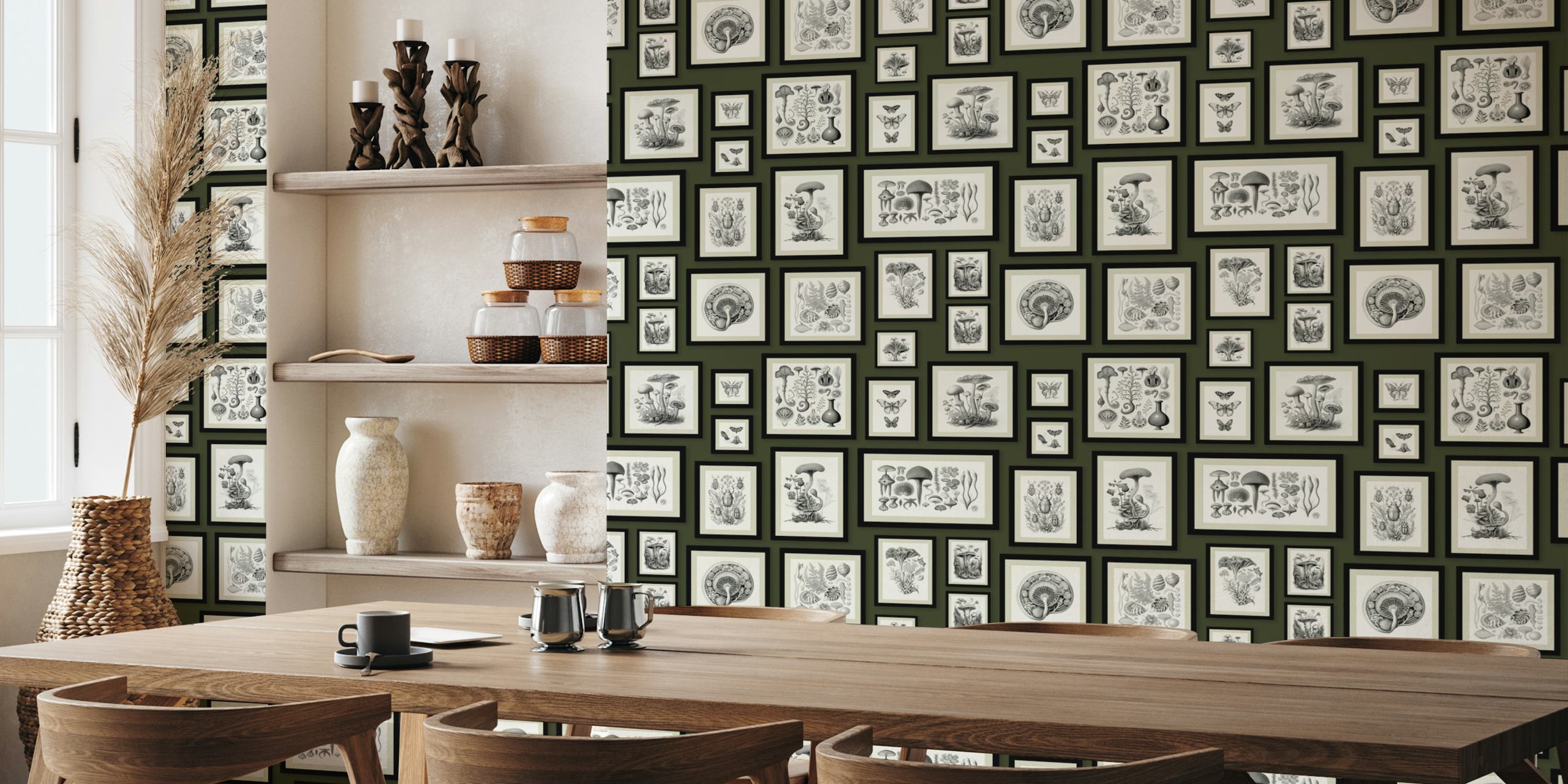 Wandbild im Vintage-Stil mit einer Reihe gerahmter Pilzillustrationen vor einem moosgrünen Hintergrund.